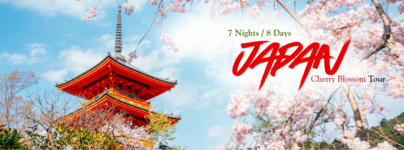 JAPAN CHERRY BLOSSOM TOUR